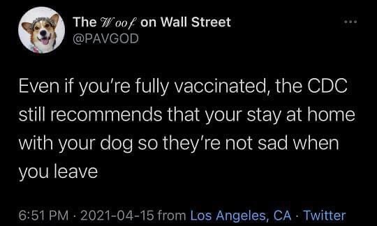 whyGaard's tweet photo. Think of all the pupsides to staying home with your furry friends. 😻 https://t.co/ObRqL8iPqA