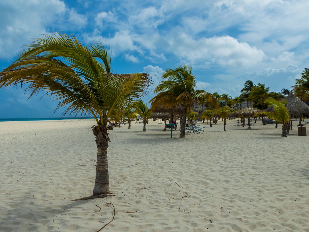Manchebo's tweet photo. Life is better in the tropics. #manchebo #beach #resort #aruba #wellness #boutique #travel https://t.co/3nLXtcNR06