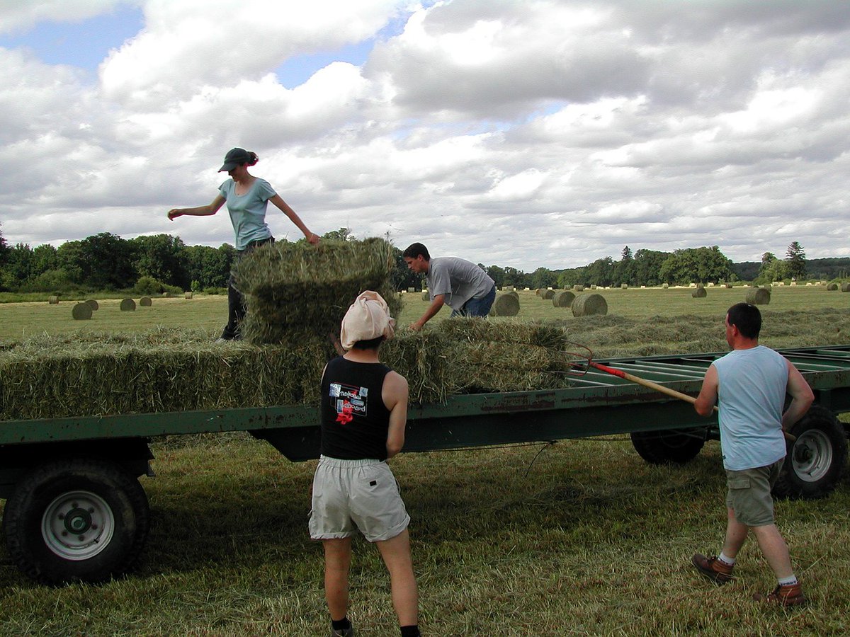 How do Wisconsin’s farmer-led groups fit into broader global trends in ag and land management? NRI's Ken Genskow contributed to a recent project exploring an international resurgence of local groups. 

Findings published here: doi.org/10.1017/sus.20…