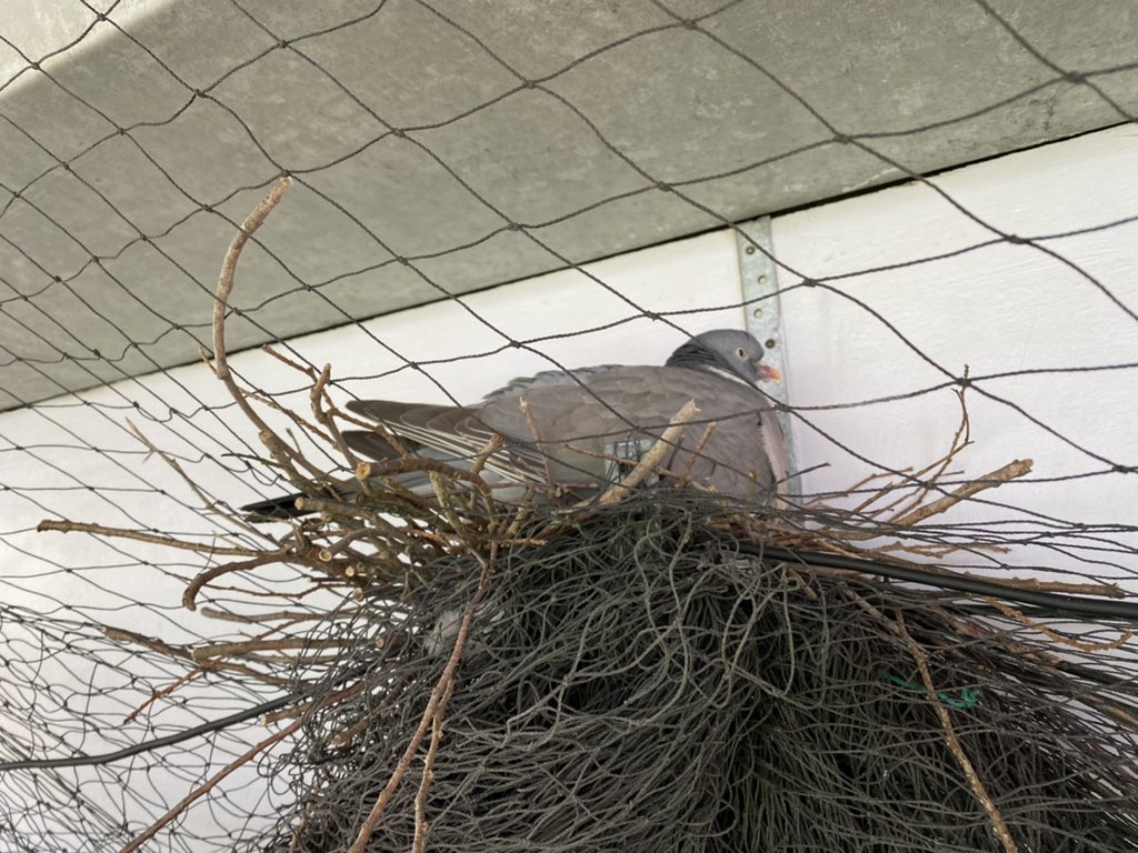 Guy Mowbray tweet media