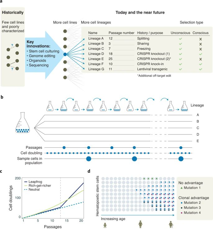 NatureBiotech's tweet image. Tracking cell lineages to improve research reproducibility go.nature.com/3oDxZ2k
