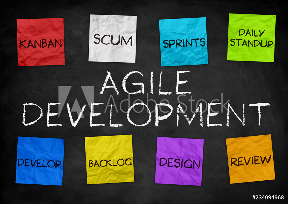 Danalynne W. Menegus tweet media