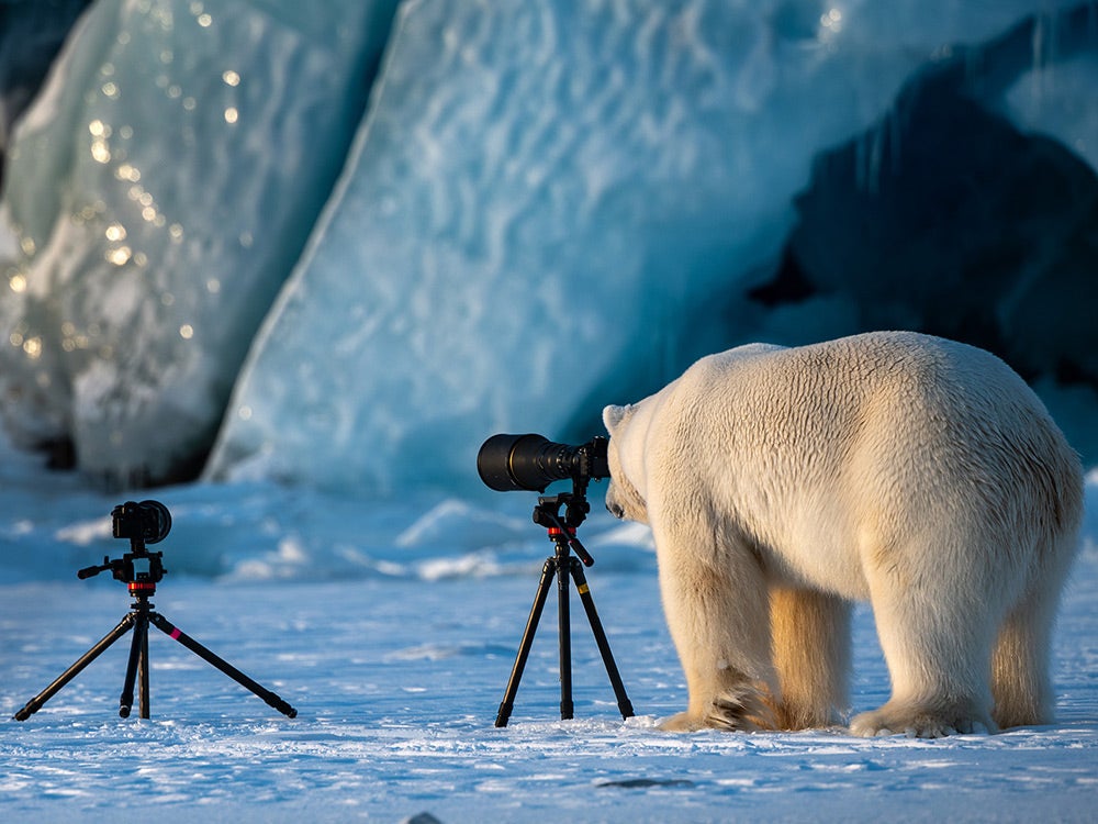 PopSci's tweet photo. Our favorite finalists from the Comedy Wildlife Photography Awards https://t.co/DWPLkQOJRC https://t.co/0ZFg4QExyH