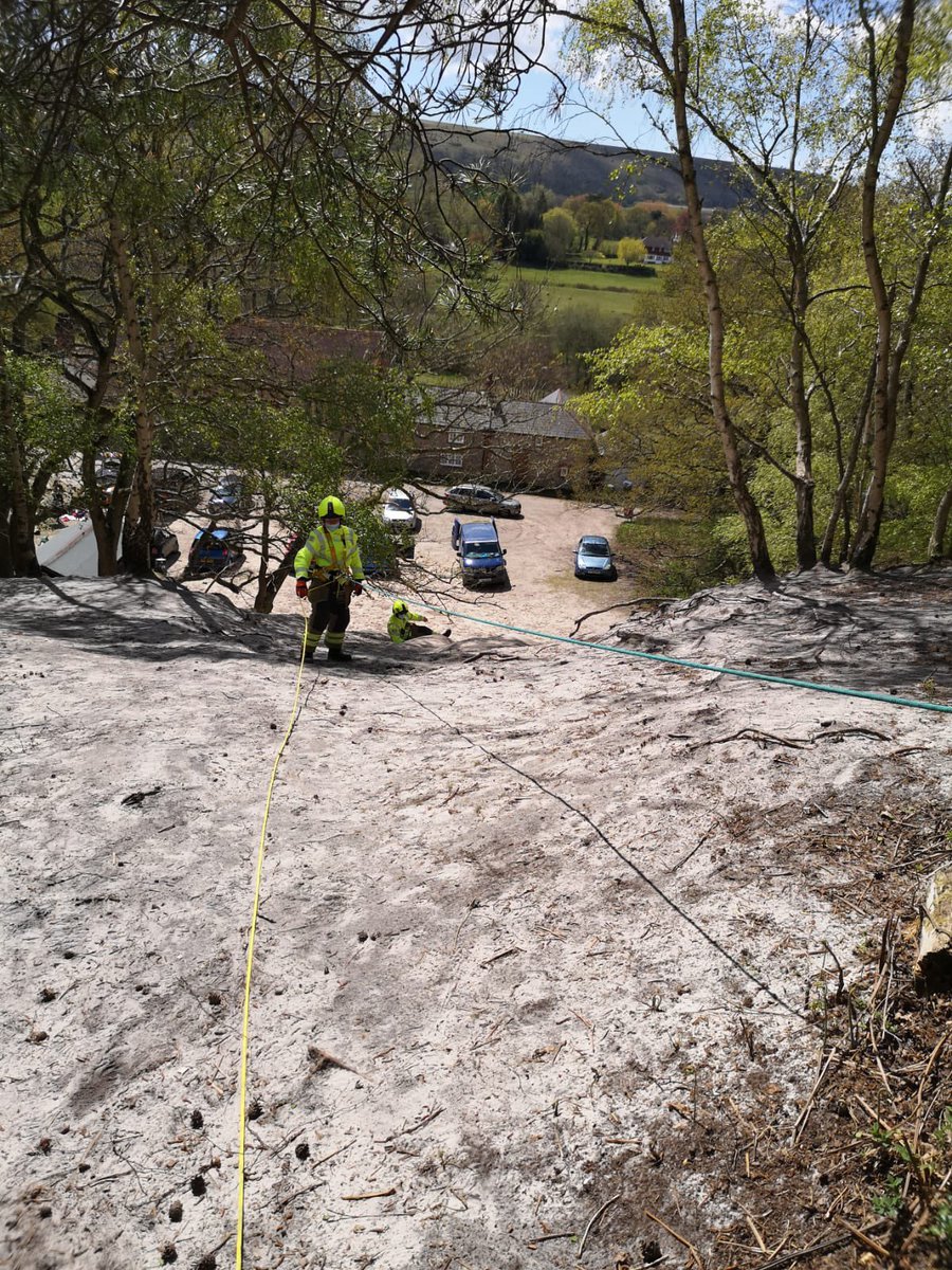 WSFRS C.O.G tweet media