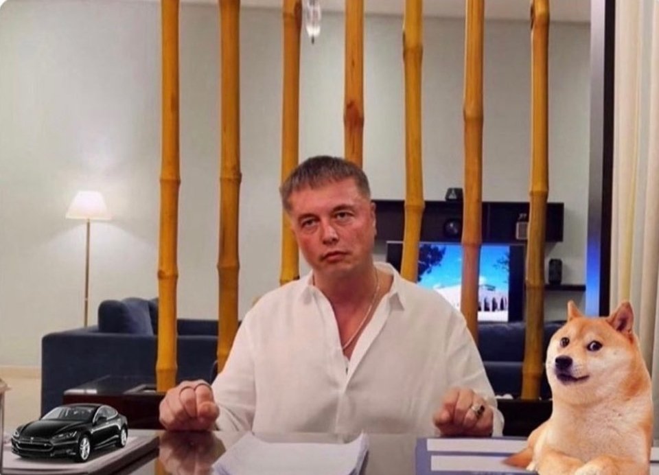 Gayretullaha savaş açan süslü elon vallaha yenileceksin
#Bitcoin