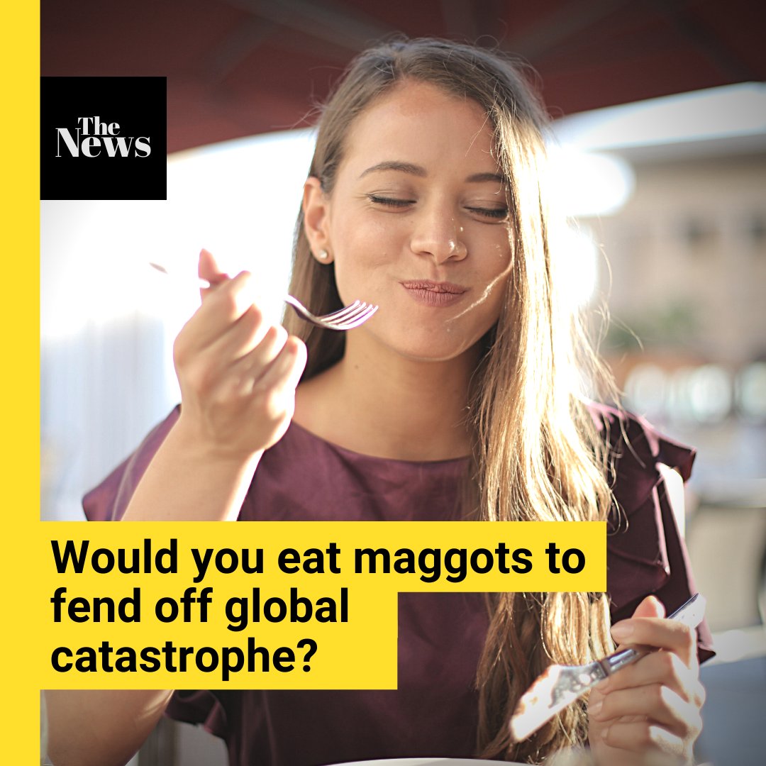 CAEschatology's tweet photo. Would you eat maggots to fend off global catastrophe? We wouldn't. https://t.co/fmr3on9usf #gross #ThisBugsMe #PleaseJustEndTheWorld #Keto https://t.co/Vf8jqxjpa4
