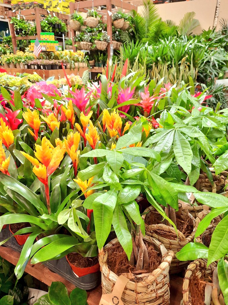 MCDarronTHD tweet media