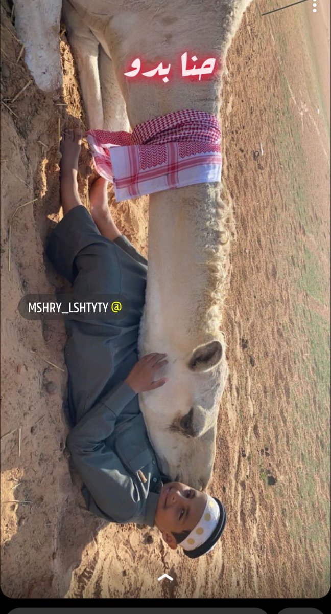ttff5510's tweet photo. #حنا_بدو_حنا_عمي_عين_العدو https://t.co/TIi5pP5gI9