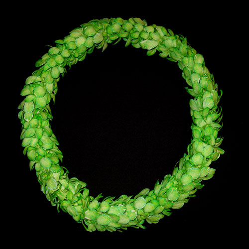 roses_just's tweet photo. Single Lei $35     
Colors: Orange, Blue, Green or Purple/White, 

Double Lei $45 
Colors: Green, Purple/White, Yellow/Burgundy, Bright Blue/Purple or Purple/Lavender/White

#justrosesflowersandmore #graduation2021 #graduation https://t.co/yRY75uGT0f