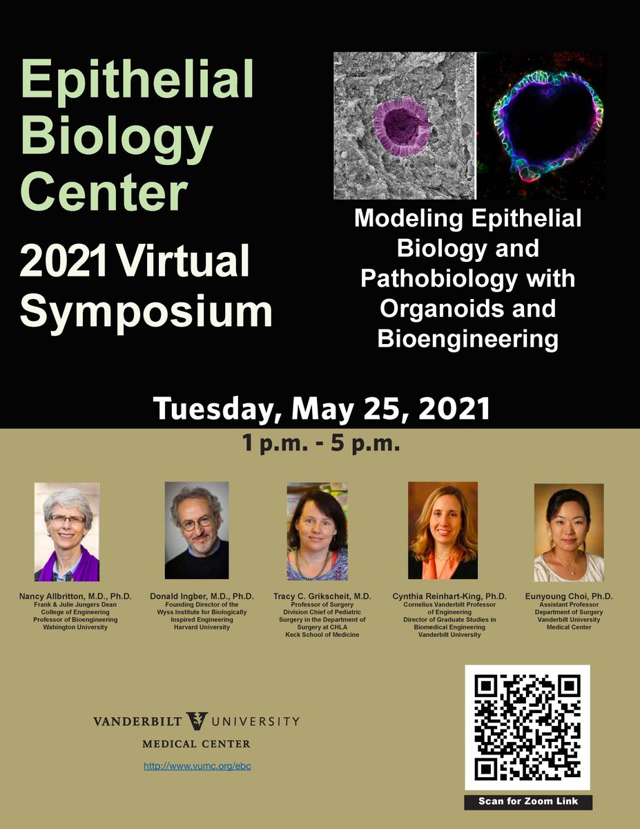 Ela W. Contreras Panta (@ela_wendy_cp) on Twitter photo 📢Excited to share that we’ll be having incredible speakers in the next Epithelial Biology Center Symposium! If you are interested to learn about cool research 🧪🧫🧬🔬in epithelial biology, organoid models, and bioengineering, you are cordially invited to attend the zoom event! 📢Excited to share that we’ll be having incredible speakers in the next Epithelial Biology Center Symposium! If you are interested to learn about cool research 🧪🧫🧬🔬in epithelial biology, organoid models, and bioengineering, you are cordially invited to attend the zoom event!