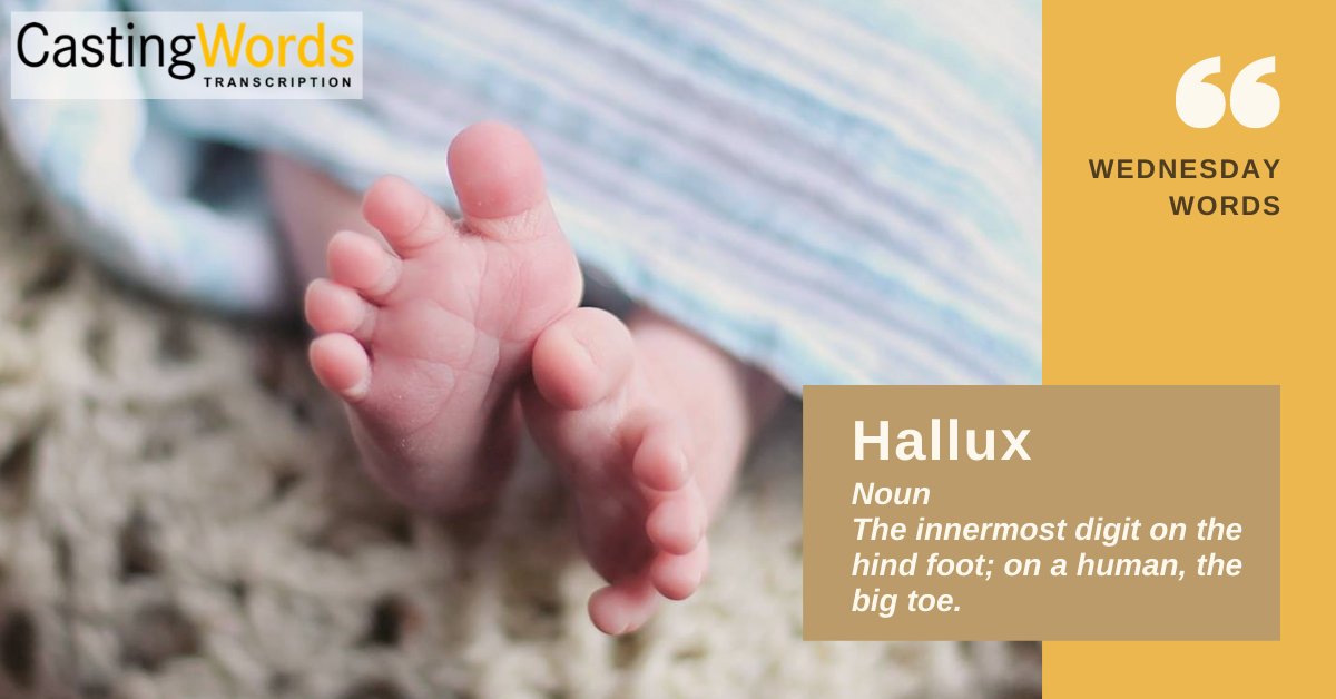 castingwords tweet media