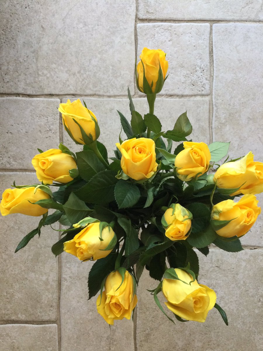 Livingstone House tweet media