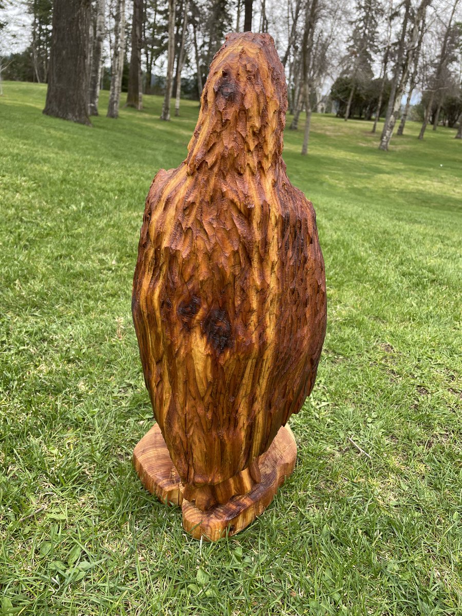 NorthernDevelop's tweet photo. We're searching for the perfect name for this eagle and we need your help!
Soar over to our Facebook page and enter your name suggestions in the contest post (pinned to the top of the page).
The winner will receive a $100 gift card to Support Local BC.
#northernBC #bcmuni #bceda https://t.co/EkbfoLp5Gv
