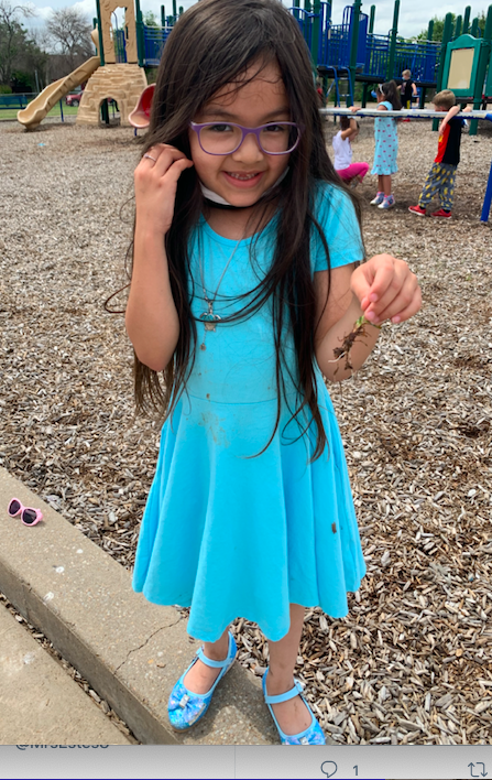 MrsEstes8's tweet photo. "Look Mrs. Estes, I found a root!" #UndertheSCE :) https://t.co/F9rwsN22rS