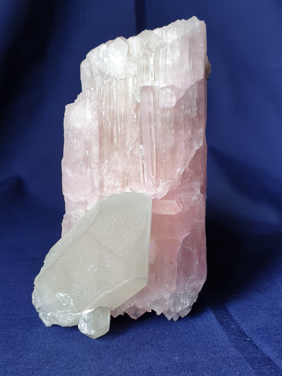 Khadimite's tweet photo. Today I am sharing with you one of my favourite #minerals known as #kunzite - pink- LiAl(SiO3)2, it belongs to #spodumene family & is an important source of #lithium, when green|ish called #hiddenite while #triphane is the yellow variety. #Kunar #Afghanistan
#MyMineralCollection https://t.co/sR1vsftOpB