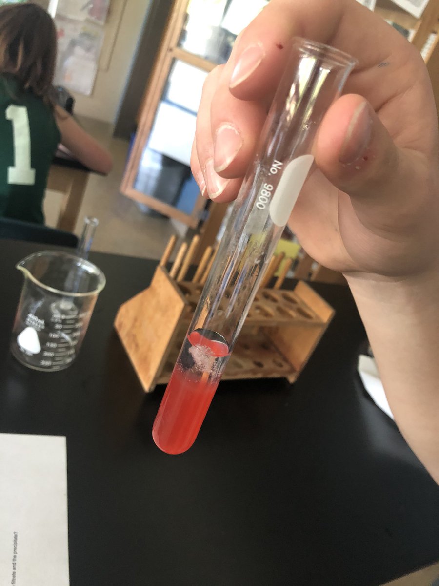 Mrs_Craig_WMS's tweet photo. Today my Green class got to see 🧬 DNA from strawberries 🍓#futurescientists @brewsterschools @WellsMS_Prin @WellsMS_AP https://t.co/AbUZEYCrKs