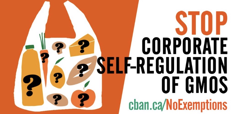 Rachel Parent tweet media