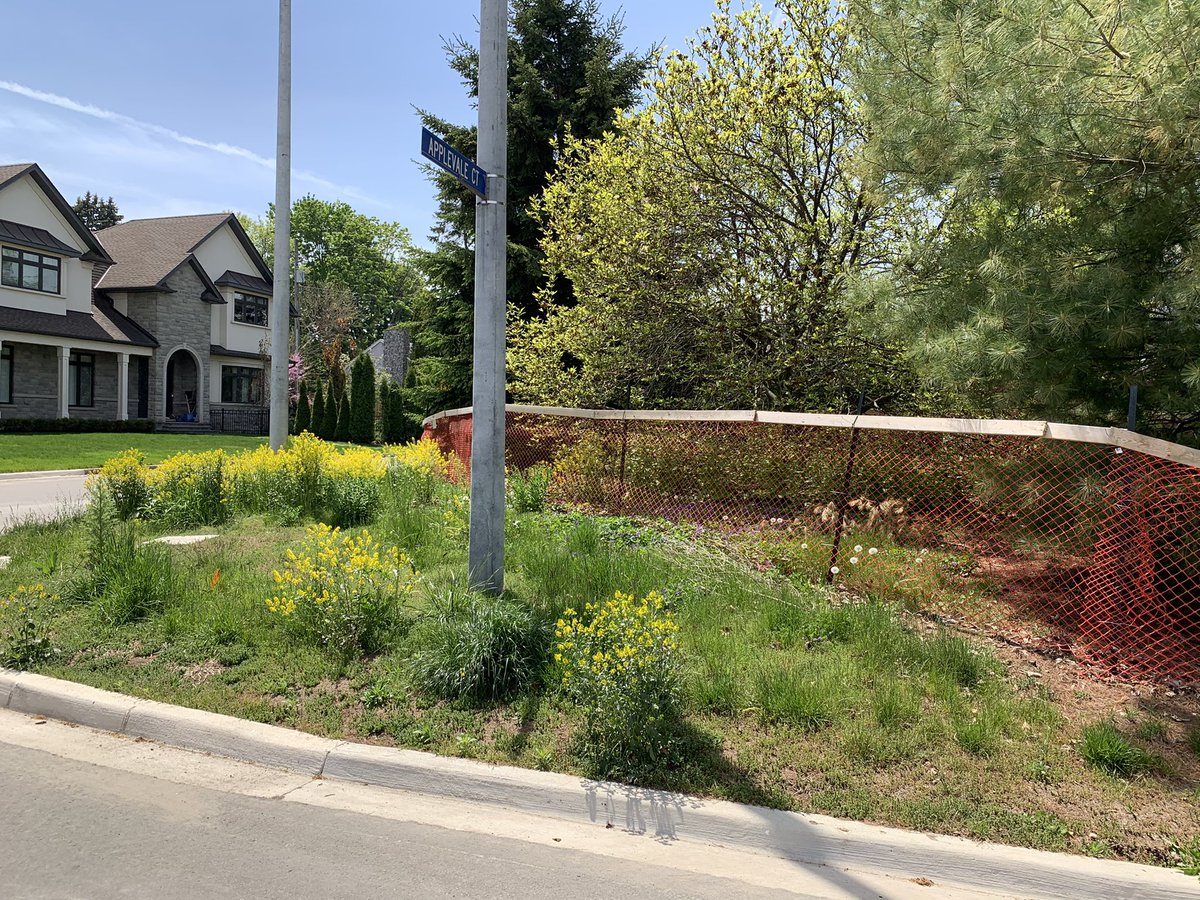 Wendy Hagar tweet media