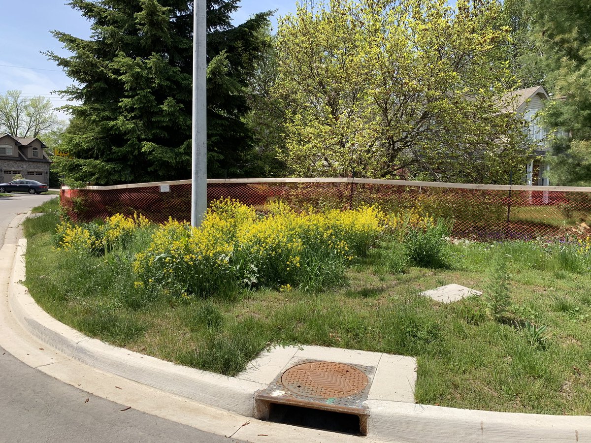 Wendy Hagar tweet media