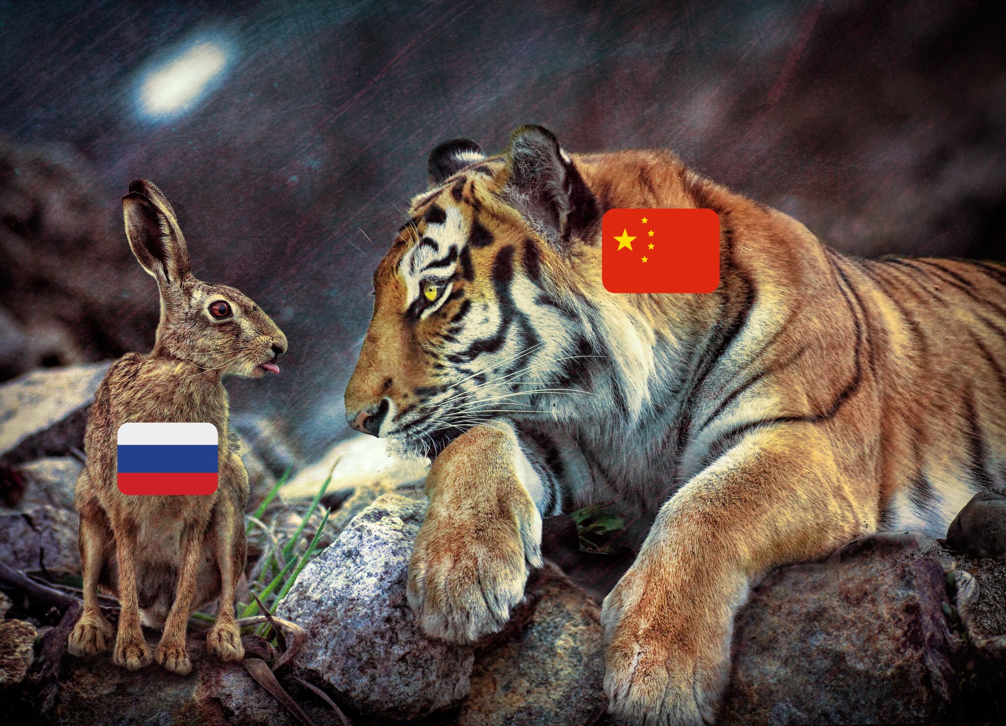 E1xZSLTXMAIb9wt?format=jpg&name=large