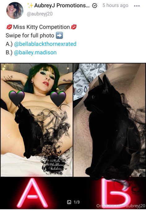 Y&rsquo;all it&rsquo;s a best pussy competition and y&rsquo;all know mine is the best  please go vote for me 💋 https://t