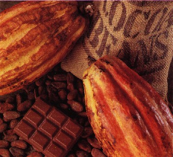 pumaharan's tweet photo. Look out for the third edition of the #Impossiblechocbar? featuring the 'Chocolate Island Tasting-Tour' presented by Darin Sukha of @CocoaCentre and Bobbie Lloyd of @magnoliabakery tomorrow (May 20, 2021)11:00 am EST.
@exporTT_Ltd @cacaospot @gwbusiness @CocoaCentre https://t.co/LQ8HYzyRgV