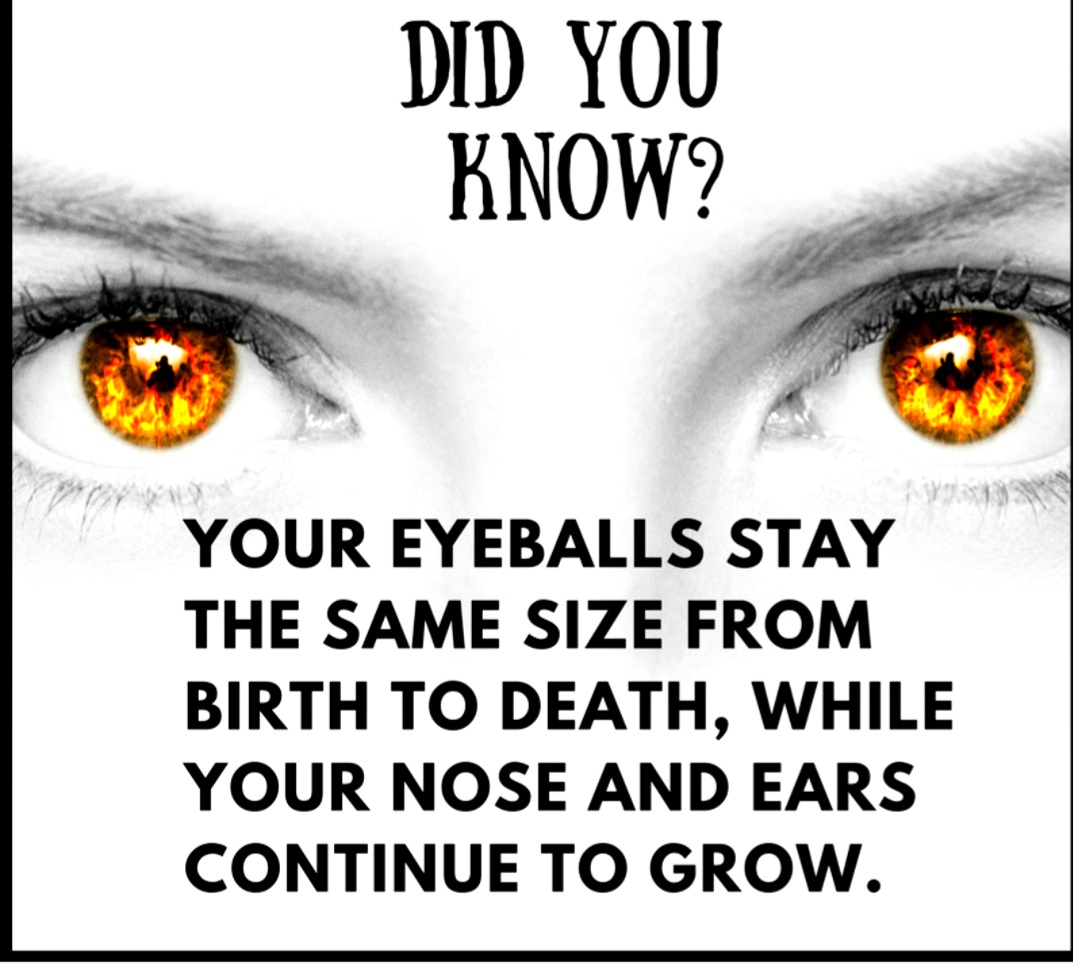 Roswell Eye Clinic (@rwelleyeclinic) on Twitter photo 