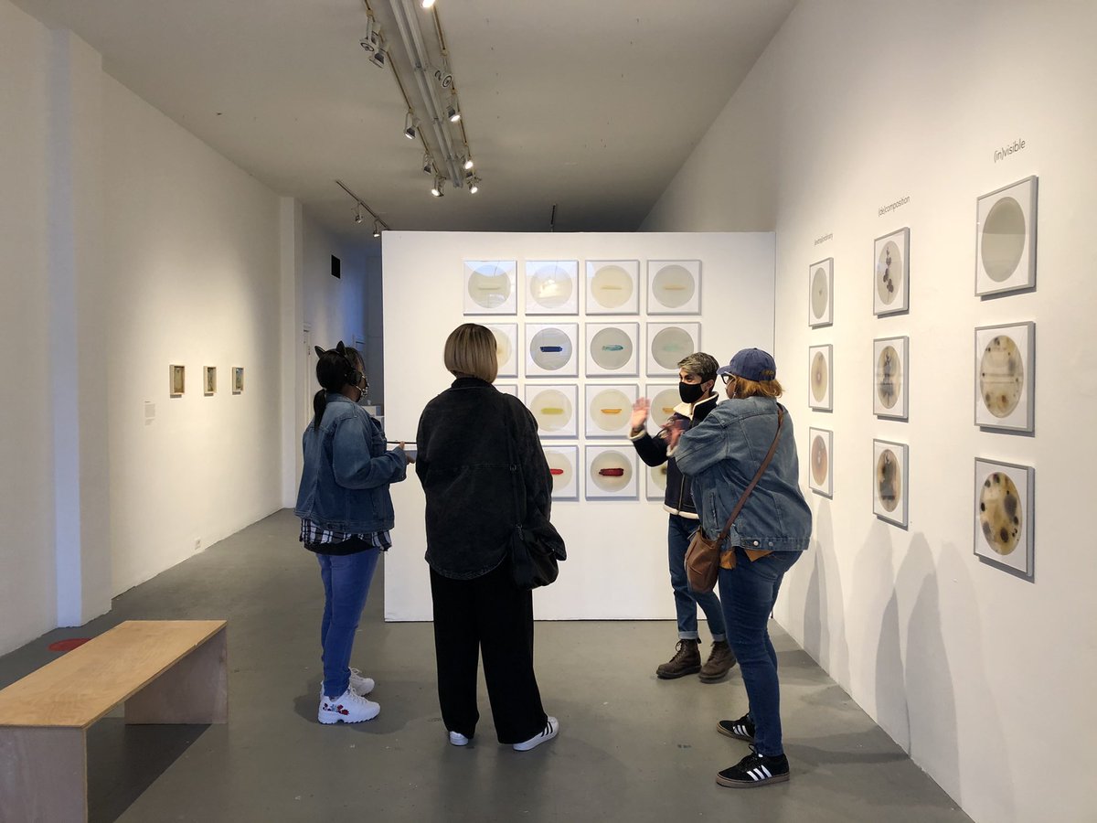 elmuseobuffalo's tweet photo. It’s the final week to see Felipe Shibuya: Invisibilia, our current exhibition about bacteria and colors. Make your appointments for viewing through Saturday 5/22! 🌞

https://t.co/HlhkAEXUg3

@felipeshibuya @UBuffaloArt https://t.co/KQHMAjnWBB