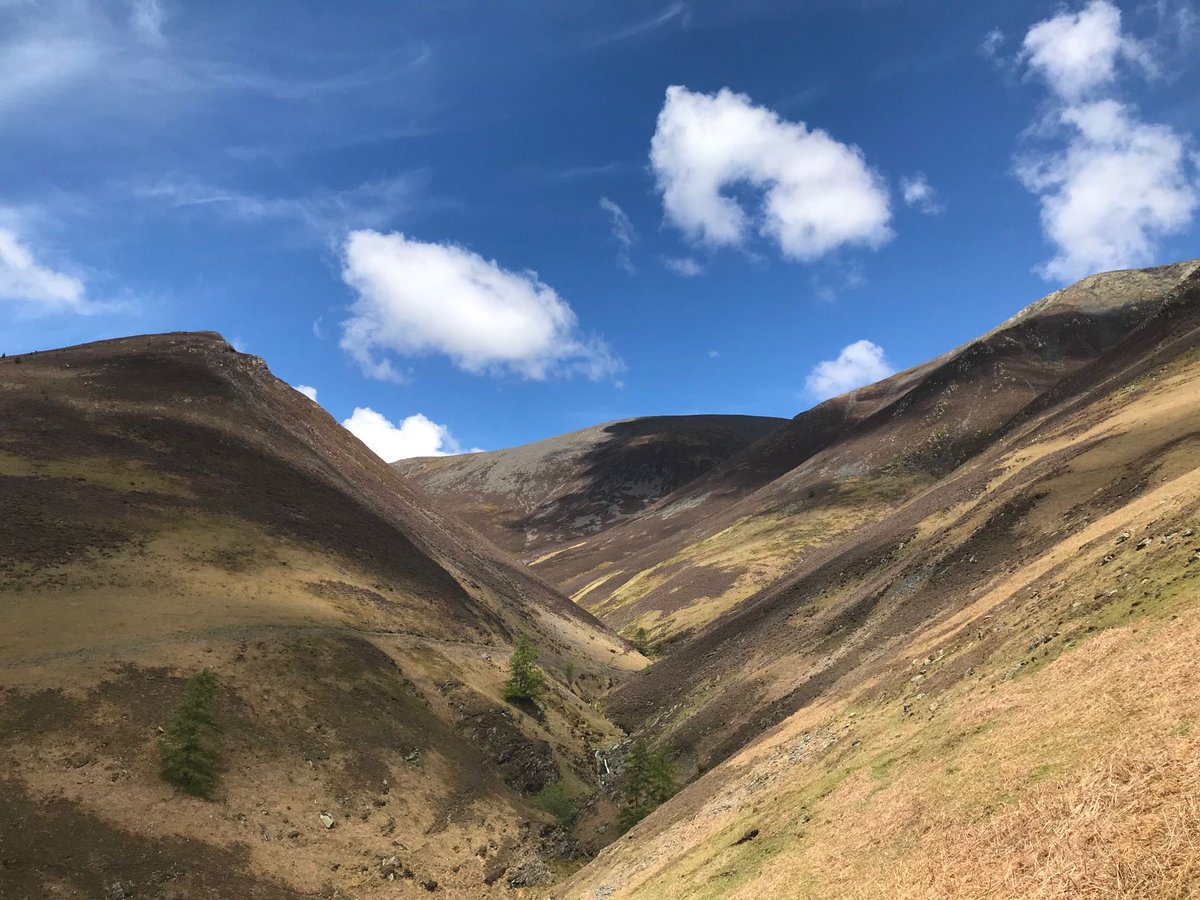 GreystokeHouse's tweet image. Well yesterday we had a little stroll through Applethwaite to Millbeck. I obviously didn’t read things properly and a quick nip over a hill to get back meant we nearly got half way up Skiddaw! Scrambling down isn’t one of Emma’s favourites! #readthemap #keswickreallakes