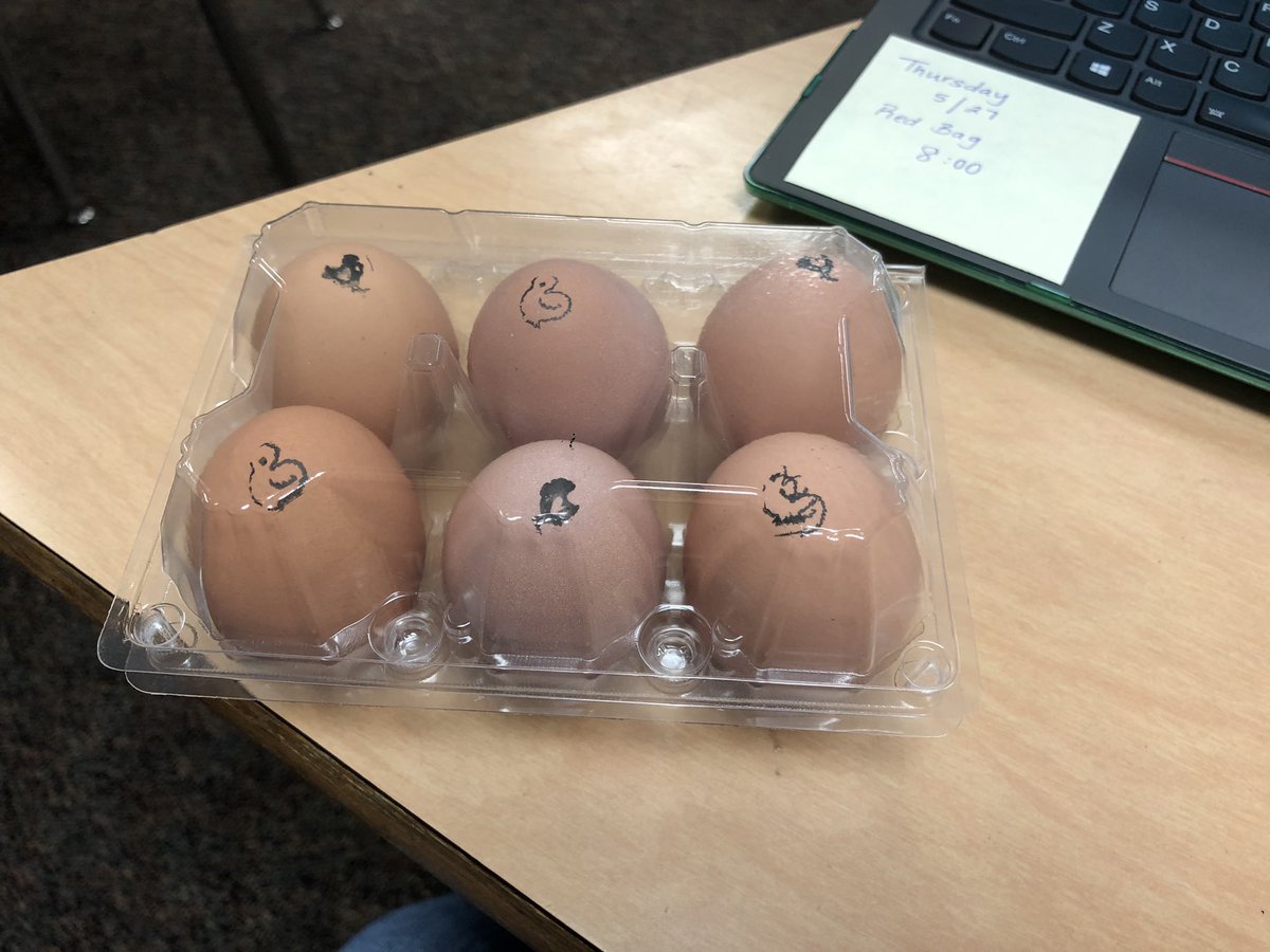 MsSeibelBES's tweet photo. Had about half of my VA students come in person for EOG testing this week. One graced me with this pack of eggs from his chickens. Oh, how I miss seeing kids in real life! https://t.co/t3DPNW5ruY