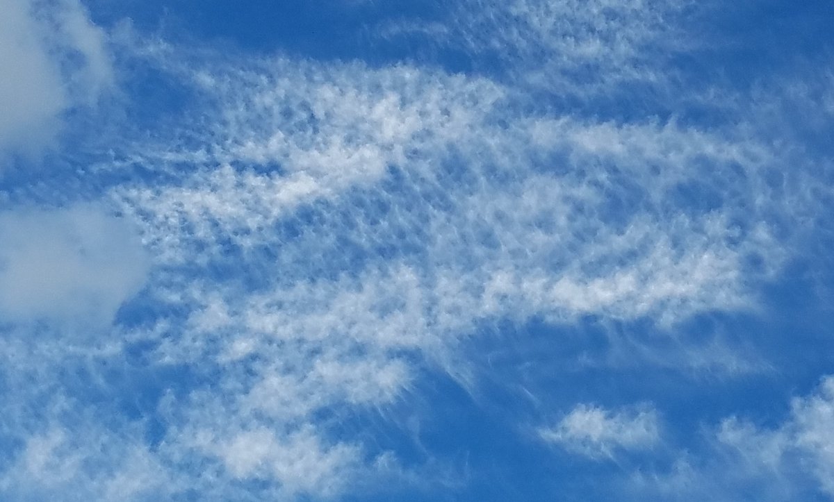 interesting cloud textures from last summer, featuring the head and neck of a dog with ears back. #summer #cloud #photography #OnlyinMN #SaintPaul #Minnesota #StormHour #ThePhotoHour / @ThePhotoHour @EarthandClouds @EarthandClouds2 @weather__pics https://t.co/YY40utj0hM