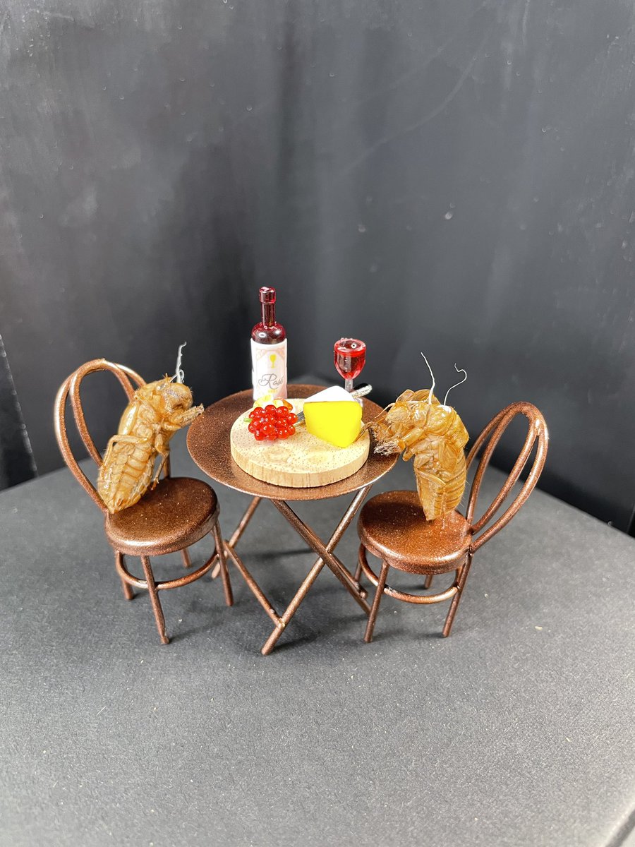 It’s the last day of experiments. 

We collect data at 7 pm....

So in the meantime....

1/n

#BroodX <a href="/SochaLab/">SochaLab</a>