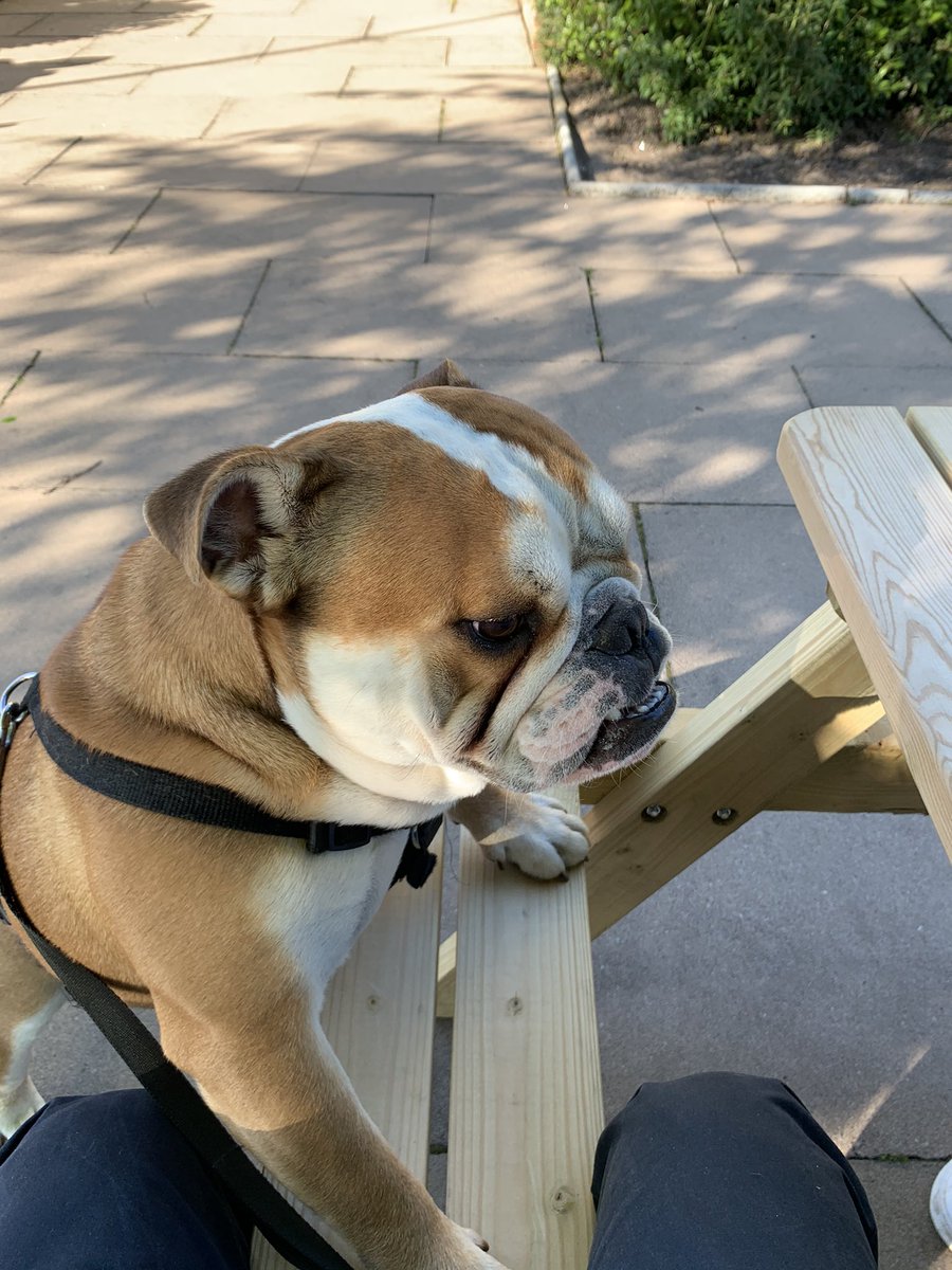 Felt good to get home from work a little earlier than usual today, so made the most of the time at the local with the lads! 

#staylocal #cheers #Bulldogs