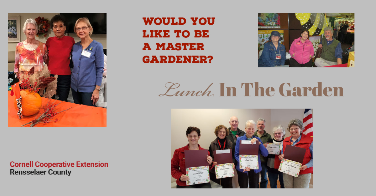 If you like gardening and want to become a community volunteer, we have an opportunity for you! Join us on May 26th at Noon, via Zoom,  to learn more about what it takes to be a Master Gardener. Visit our website for details and registration info. ccerensselaer.org/events