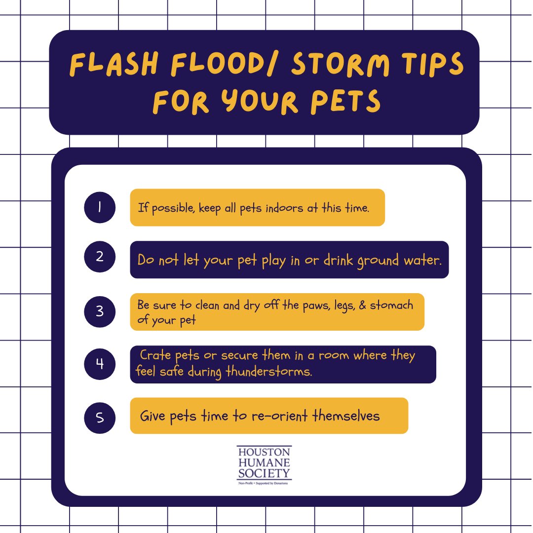 HoustonHumane's tweet photo. FLASH FLOOD WATCH HOUSTON! Keep your pets dry and safe with some tips from our Humane Education! To find out more tips on how to care for you pets during flashfloods and storms visit the site here; https://t.co/yDmTs0FQtL  #PetTips #Houston #StormTips https://t.co/nYijtgf2D5