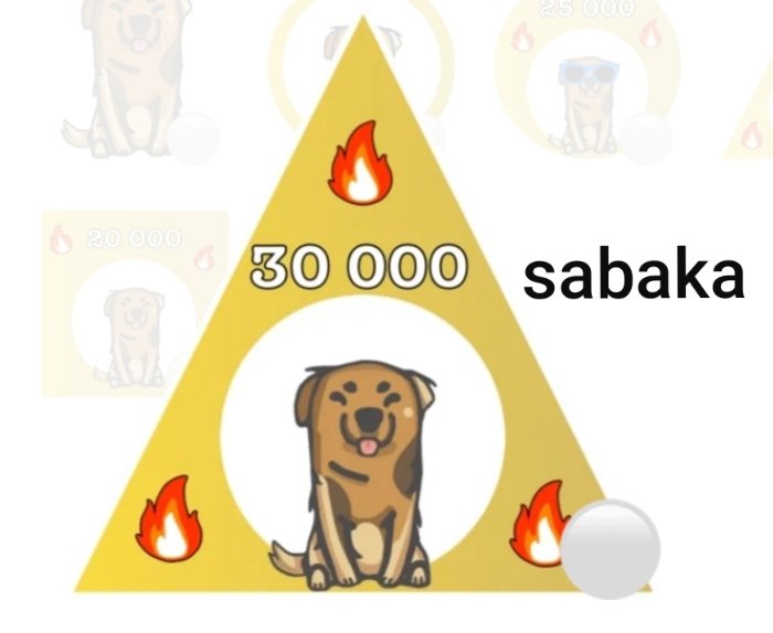 arad_golan's tweet photo. Already 30K holders #sabaka #Crypto #Binance #doge #Money #Binance #doge #cryptotrading #cryptocrash #cryptocurrency @elonmusk https://t.co/5ozBZ9f5SS