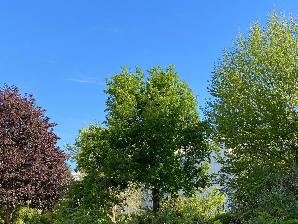 nxamh's tweet photo. bristol looking sexy today https://t.co/Noc3GlJn6E