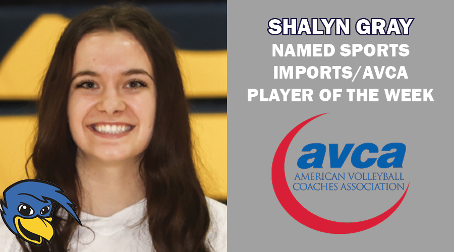 NWACSports's tweet photo. Make it SIX WEEKS IN A ROW that NWAC volleyball has been nationally recognized! #nwacvb 

@AVCAVolleyball Names Shalyn Gray of @LBCC_ad the @SportsImportsVB / AVCA Player of the Week

https://t.co/0Irn9uGjwz https://t.co/v6dpE5YDcu