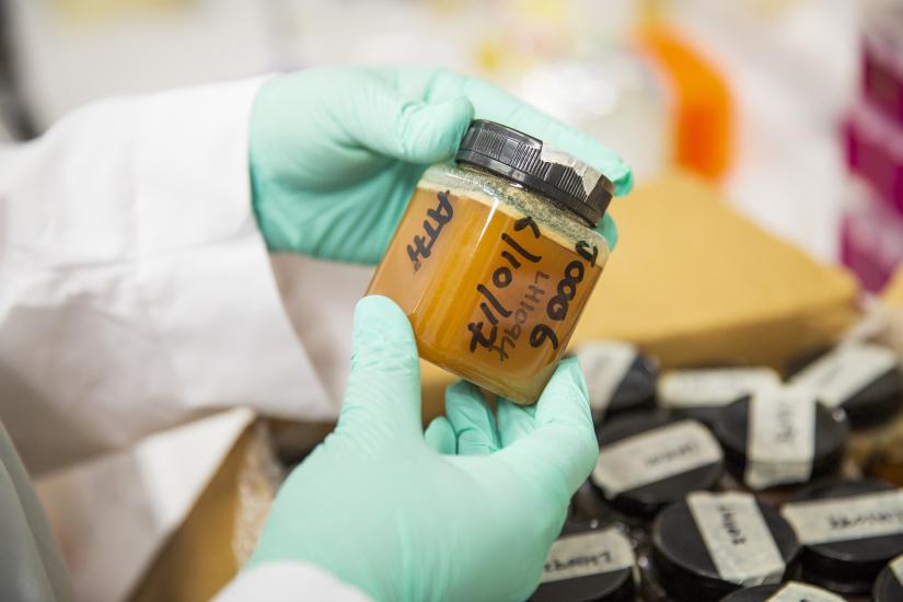 🐝🍯 Dr Nural Cokcetin and Professor Liz Harry are part of a collaboration that will work to future-proof the vital NSW apiary industry, which took a major hit in the 2020 bushfires. Read more: bit.ly/33WH8tl 

<a href="/nural_c/">Dr Nural Cokcetin</a> <a href="/ProfLizHarry/">Liz Harry</a> @ithreeinst #WorldBeeDay