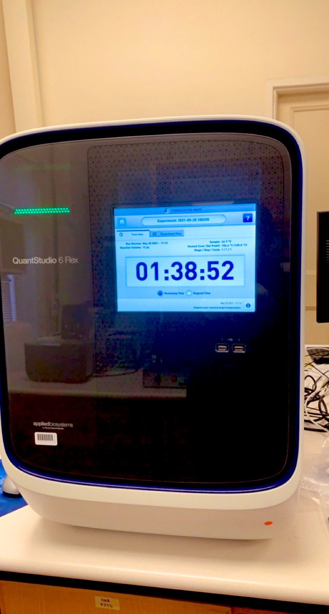 Robert_OReilly_'s tweet photo. Real-Time Quantitative Reverse Transcription PCR. Happy that I finally have positive controls of the shingleback nidovirus (lizard rona) and can start testing them. Paranoid they won’t work for whatever reason 😅🤞🤞🤞🤞🤞🤞#lizard #virus #science #qRTPCR #phd https://t.co/tb9opEMGSp