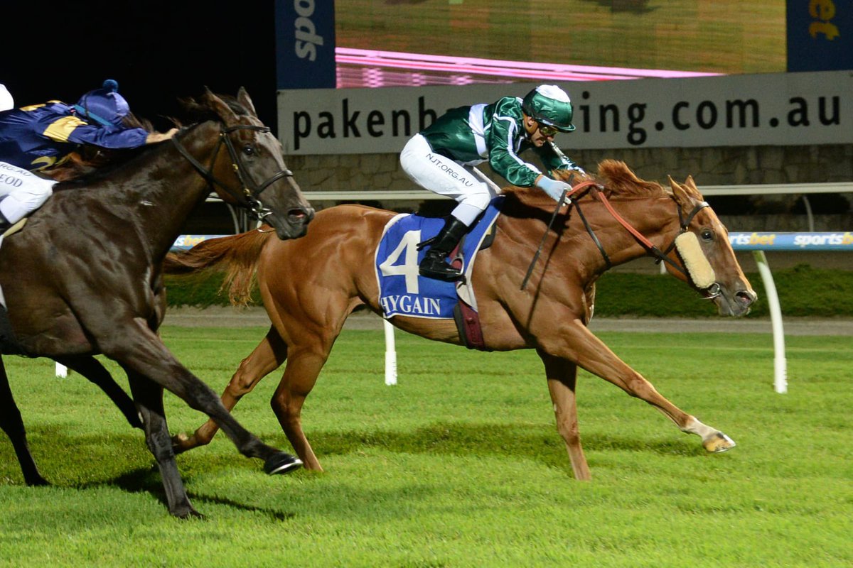 emilyjcahill's tweet image. 🔥 NIGHTFIRE is home for a spell following a successful prep with @Grahame_Begg resulting in 2 wins 🥇🥇 and a city 3rd 🥉. Can’t wait to see him back on track in Spring 🙌🏻