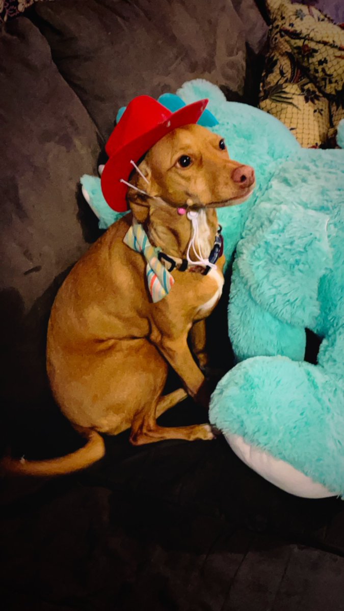 Troy Mott tweet media