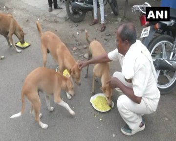 ANI tweet media