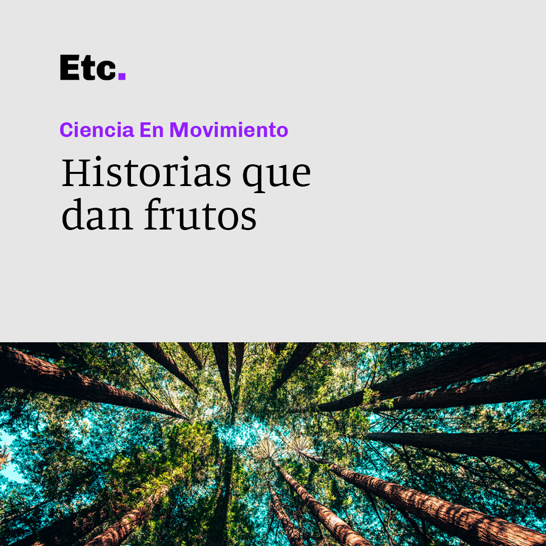 El Día de la #fascinacionporlasplantas ya terminó, pero nosotrxs seguimos festejando: publicamos la II parte de la nota sobre investigadorxs que las volvieron parte de su ciencia.

Aquí, las historias de Andrea Premoli y <a href="/arg_epilab/">Federico Ariel</a>: bit.ly/342SxYg

Quedan invitadxs!