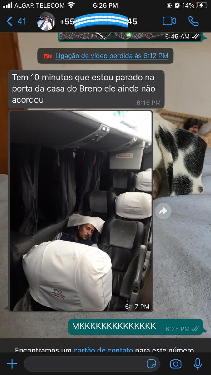 Brenobc21's tweet photo. Eu sou diferenciado dms meu jovem ! Esqueece https://t.co/azOklHlQfg