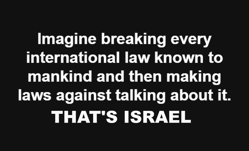SavingProject's tweet image. Thank You, Please don't let up!! 🙏
They're doing more bombing &amp;amp; air raids right now. They are so rabid in their beliefs that it has become very dangerous for everyone. I heard one guy say he wants to "flatten #Gaza until there is no one left," this is insane!
#CeasefireNOW #BDS