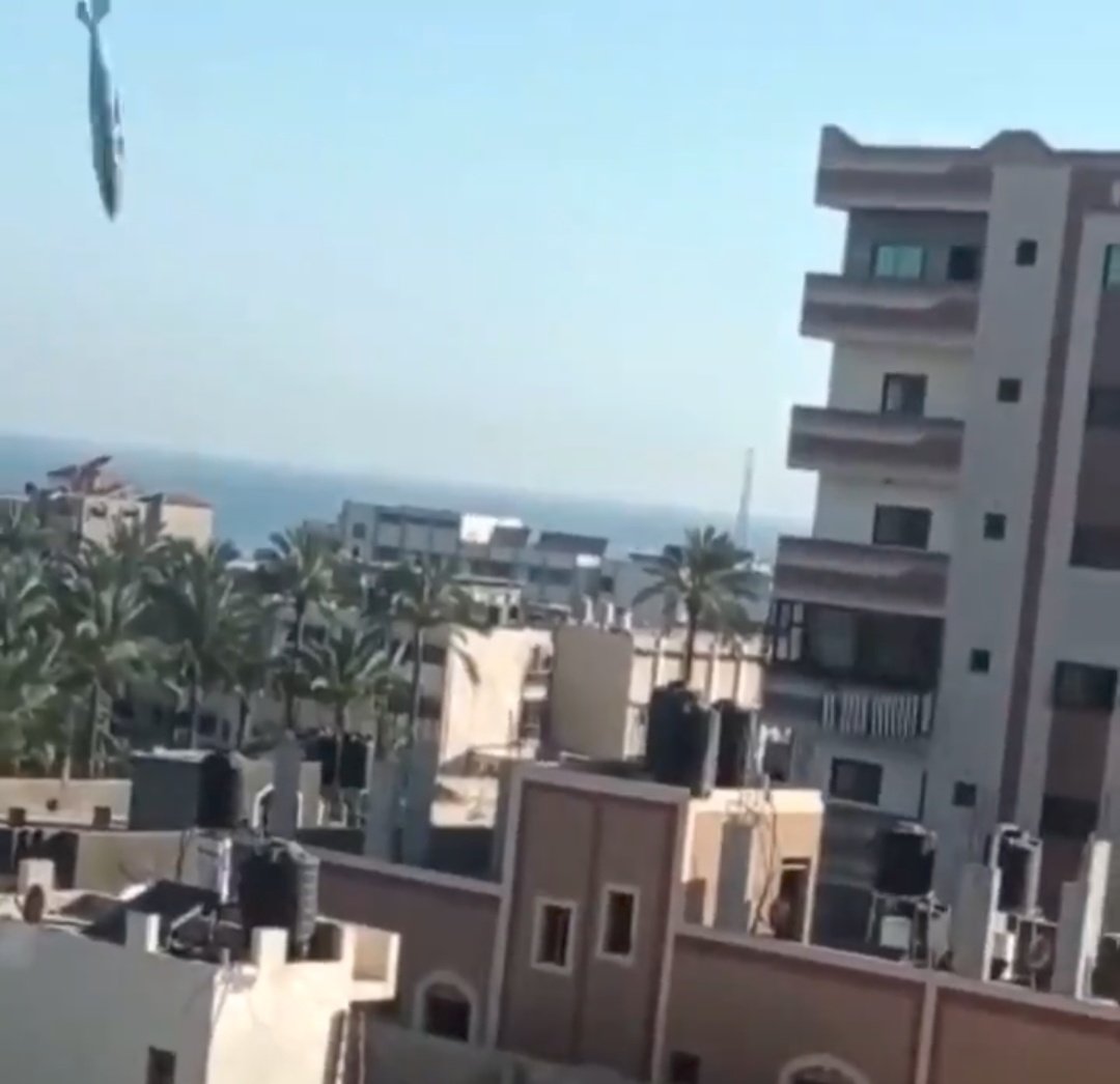 Rohan Talbot tweet media