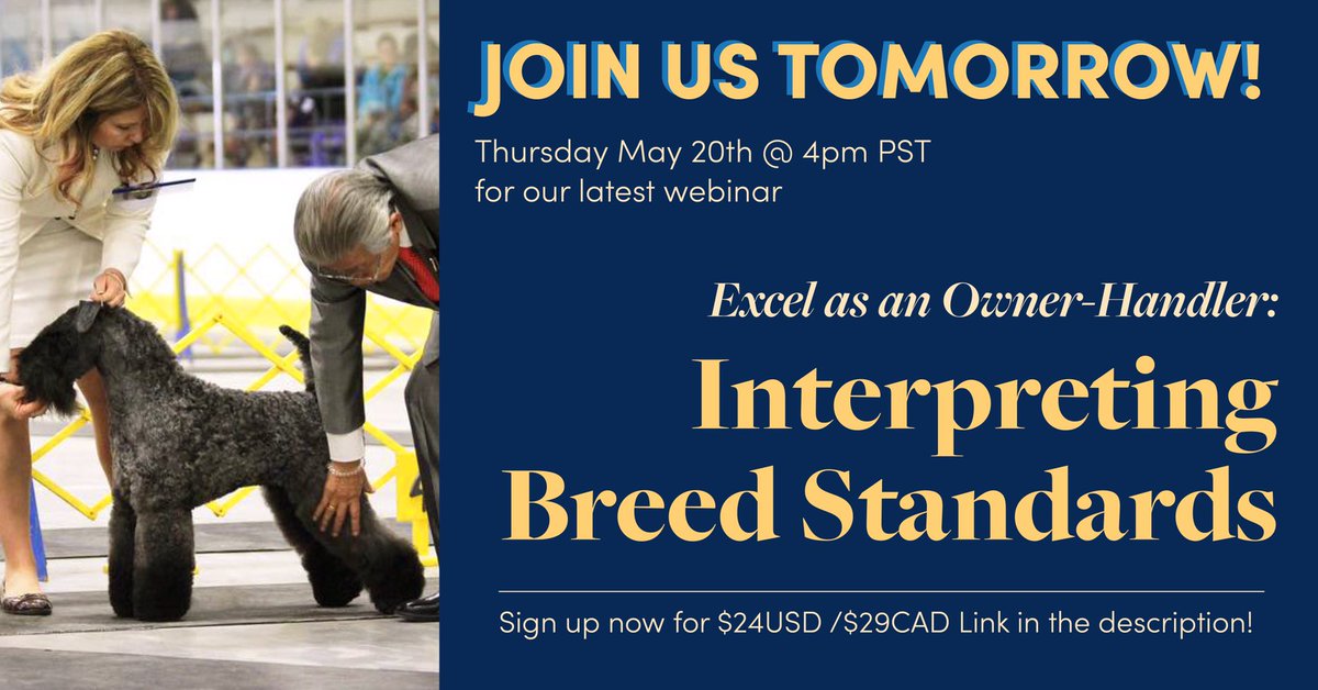 leadingedgedogs's tweet image. It’s not too late to register now for the next webinar in our popular Excel as an Owner-Handler series: Interpreting Breed Standards! Join here : leadingedgedogshowacademy.com/p/excel-owner-…