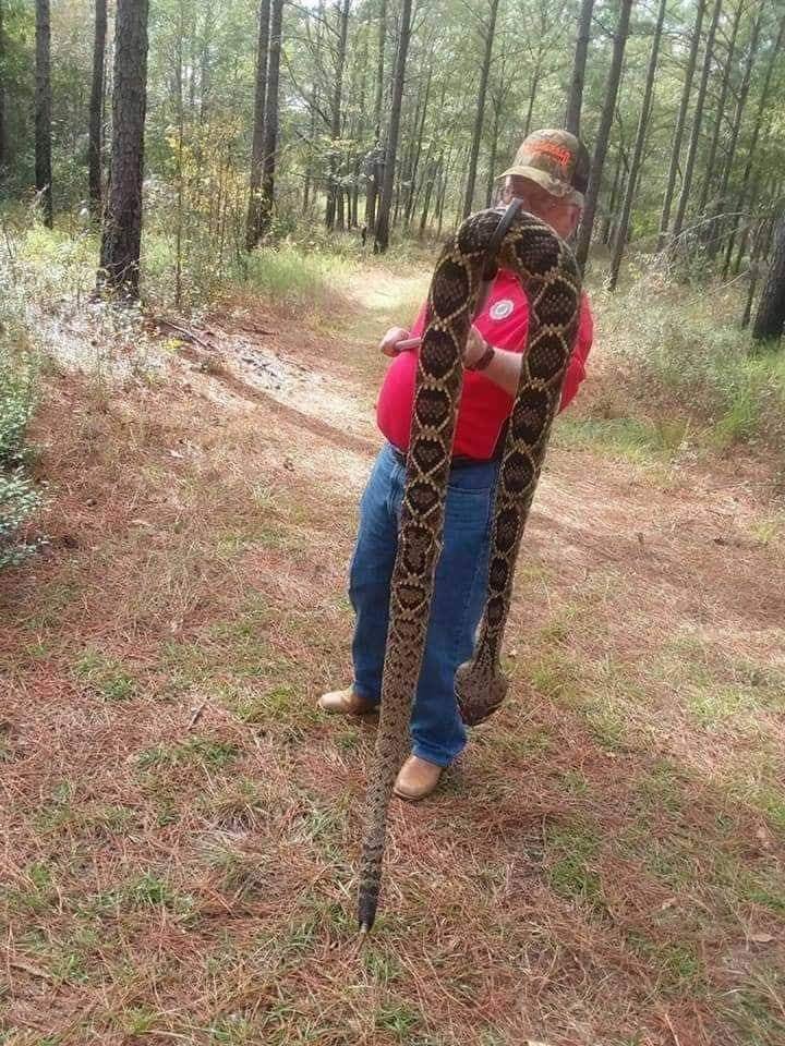 Chevronshawty74's tweet photo. Watch for the SNAKES!
https://t.co/wTV2CtNs7B https://t.co/CqcDfv6bK9