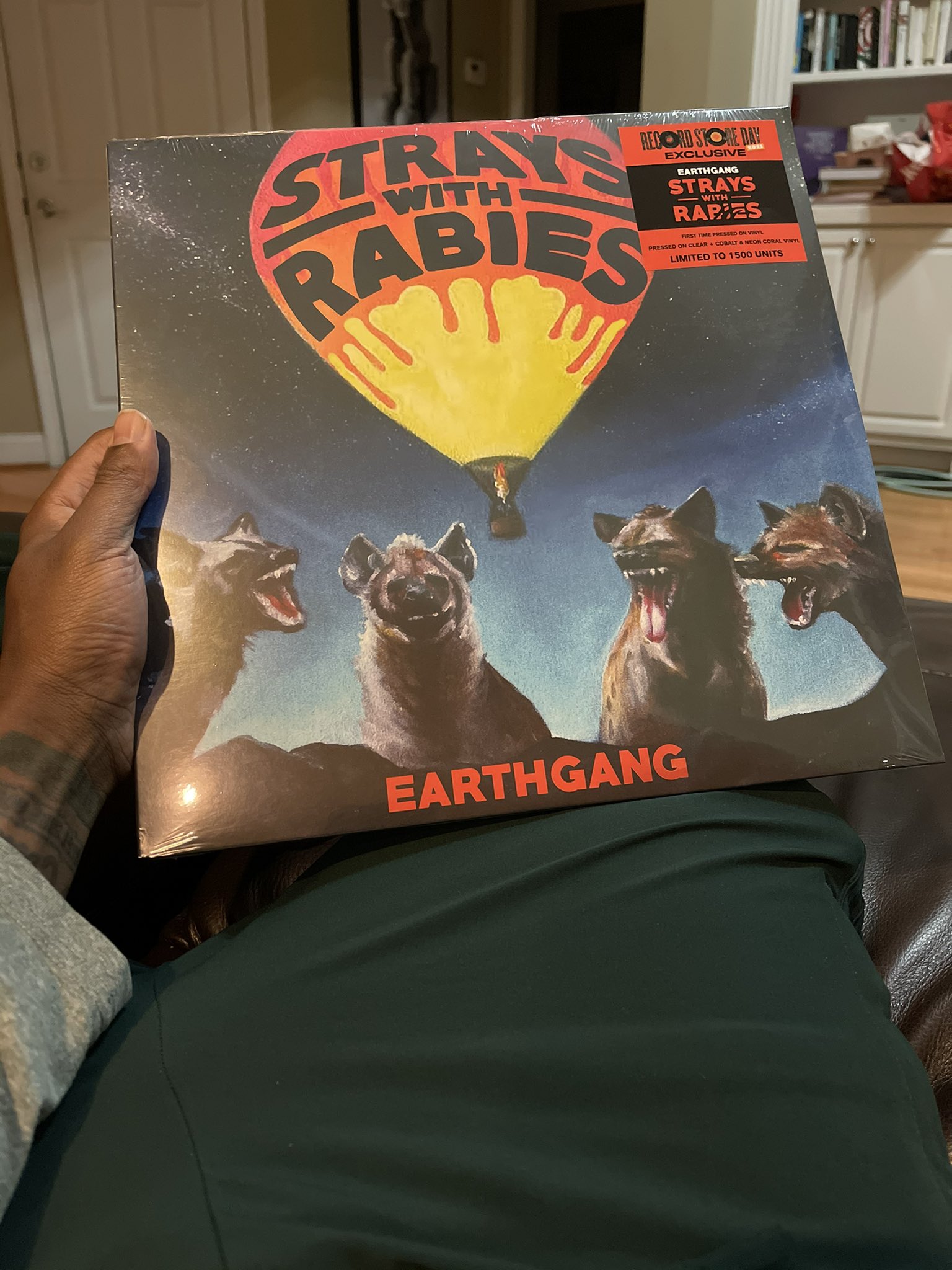 EARTHGANG #GHETTOGODS OUT NOW! on Twitter: "Strays With Rabies OTW! Who's cropping? https://t.co/vDtDb2G0Dn" / Twitter